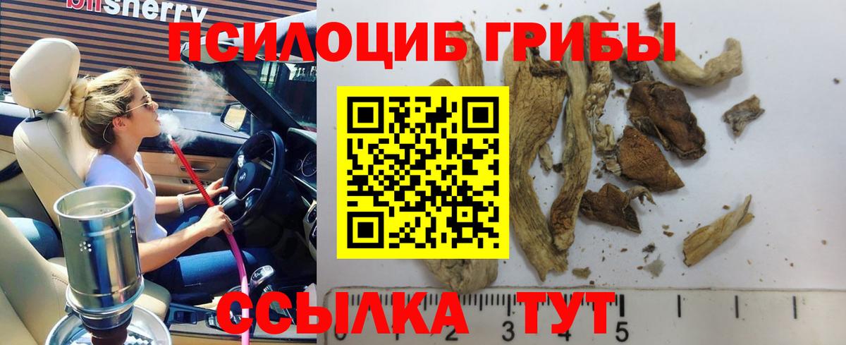 Псилоцибиновые грибы мицелий  Вход с VPN  Псилоцибиновые грибы MAGIC MUSHROOMS  Ахтубинск 