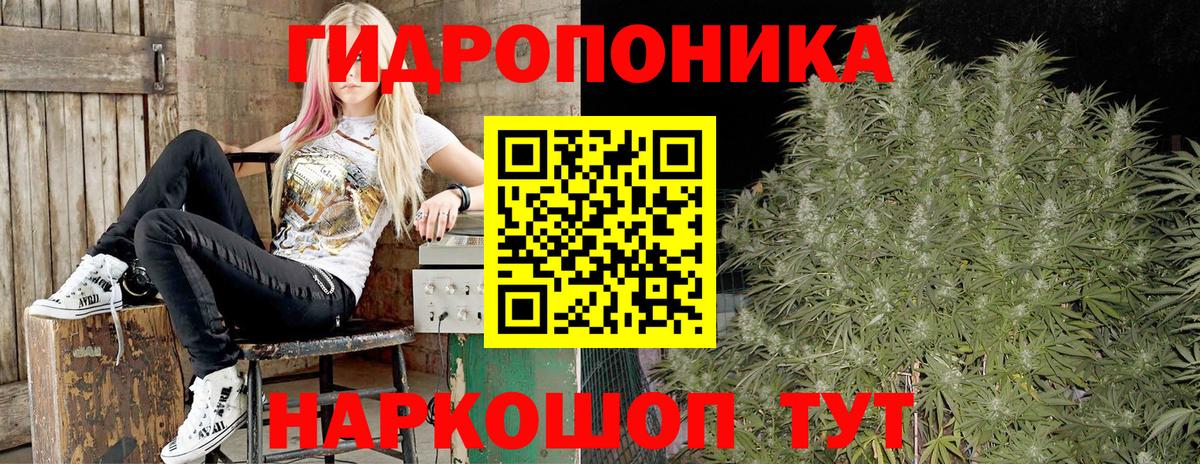 Ахтубинск  Бошки марихуана ГИДРОПОН  Шишки марихуана SATIVA & INDICA  Вход с VPN 